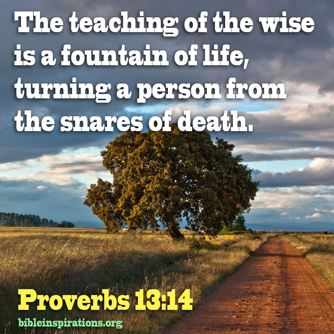 proverbs-13-14