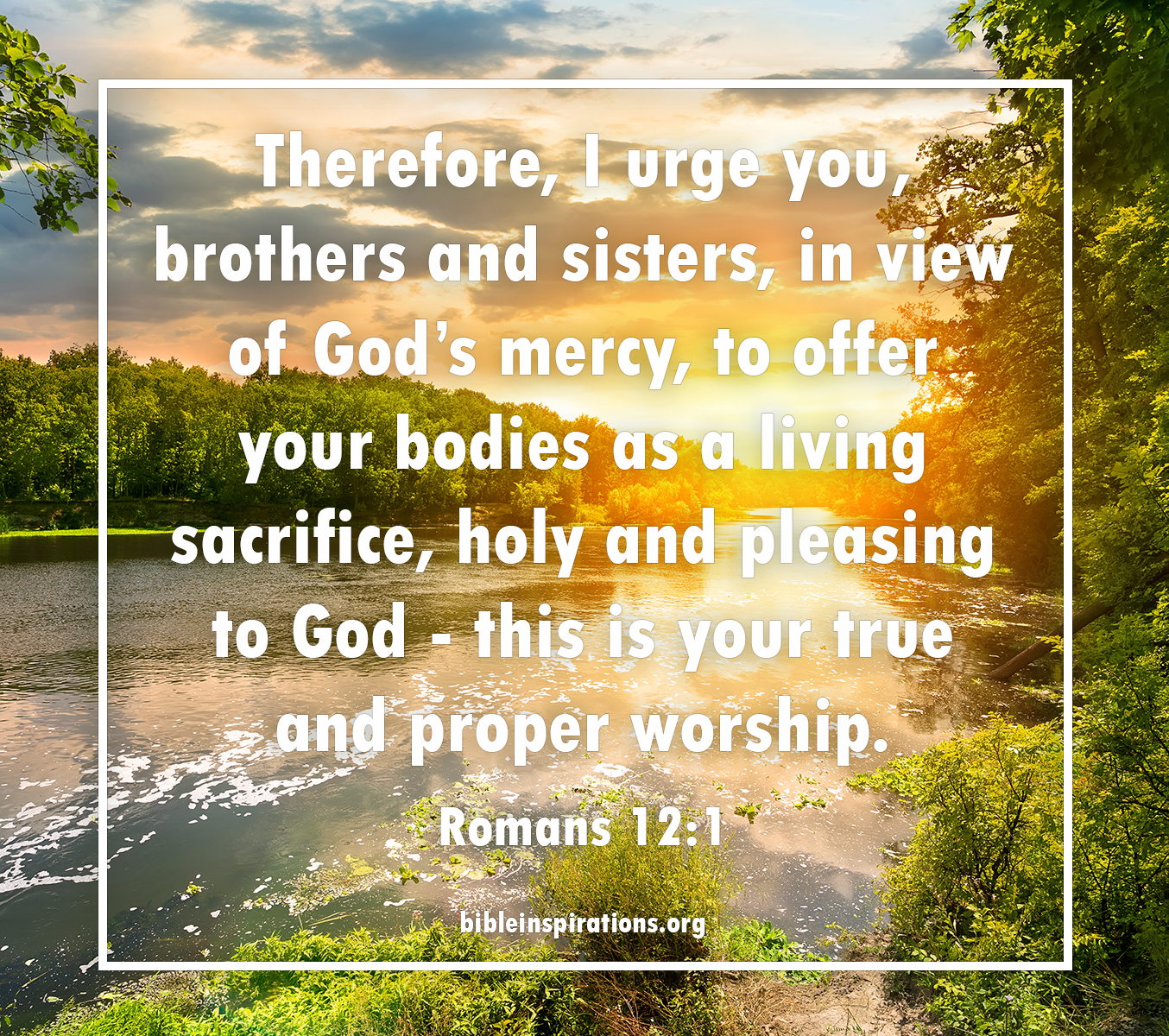 Therefore, I urge you, brothers and sisters, in view of God’s mercy, to offer your bodies as a living sacrifice, holy and pleasing to God - this is your true and proper worship. - Romans 12:1