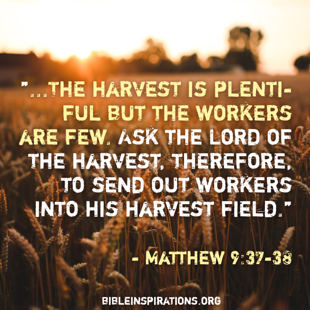 Then He said to his disciples, "The harvest is plentiful but the workers are few. Ask the Lord of the harvest, therefore, to send out workers into his harvest field." - Matthew 9:37-38 matthew-9-37-38