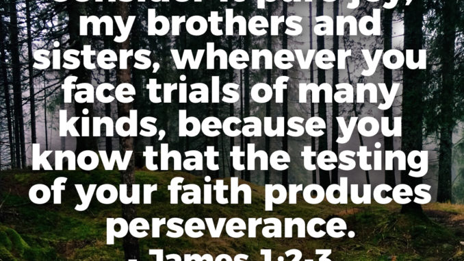 Consider It Pure Joy, My Brothers And Sisters, Whenever You Face Trials Of Many Kinds, because you know that the testing of your faith produces perseverance. - James 1:2-3