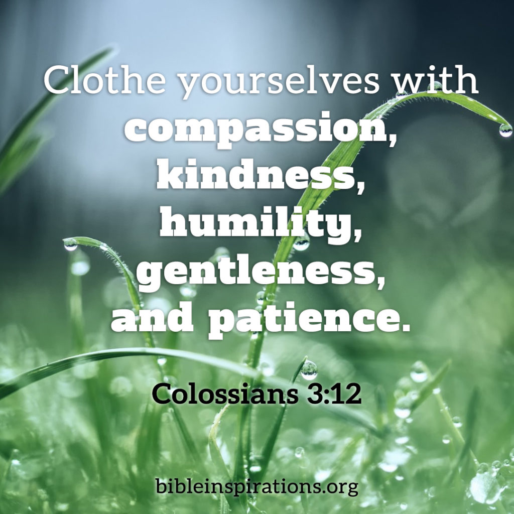 bible verse about kindness to others bible verse about kindness to others