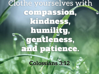Therefore, as God's Chosen People, Holy and Dearly Loved, Clothe Yourselves with Compassion, Kindness, Humility, Gentleness and Patience. - Colossians 3:12