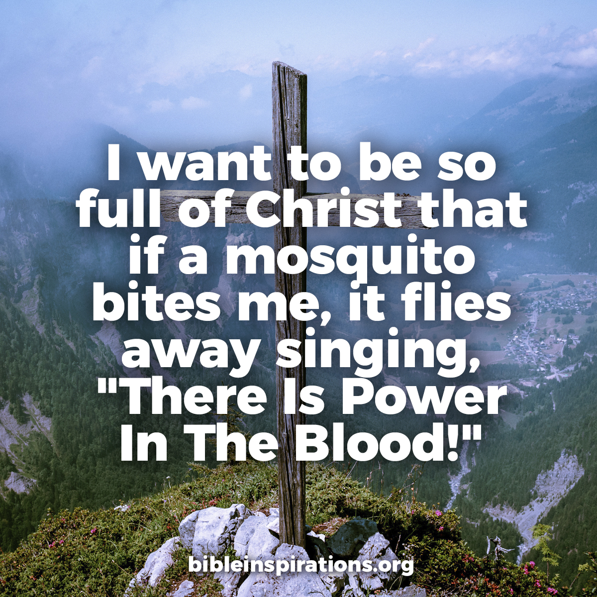 I want to be so full of Christ, that when a mosquito bites me, he flies away singing There Is Power In The Blood