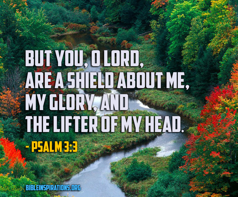 psalm-3-3