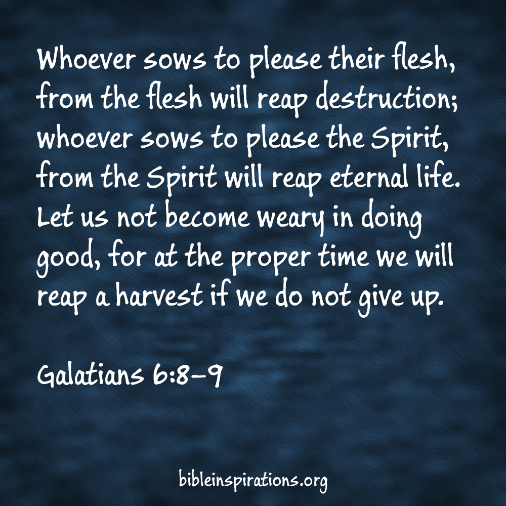 Whoever sows to please their flesh, from the flesh will reap destruction; whoever sows to please the Spirit, from the Spirit will reap eternal life. Let us not become weary in doing good, for at the proper time we will reap a harvest if we do not give up. Galatians 6:8-9