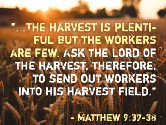Then He said to his disciples, "The harvest is plentiful but the workers are few. Ask the Lord of the harvest, therefore, to send out workers into his harvest field." - Matthew 9:37-38 matthew-9-37-38