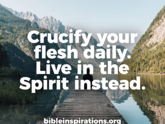 crucify-the-flesh-daily-live-instead-in-the-spirit